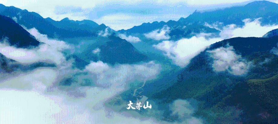 呆萌动物园