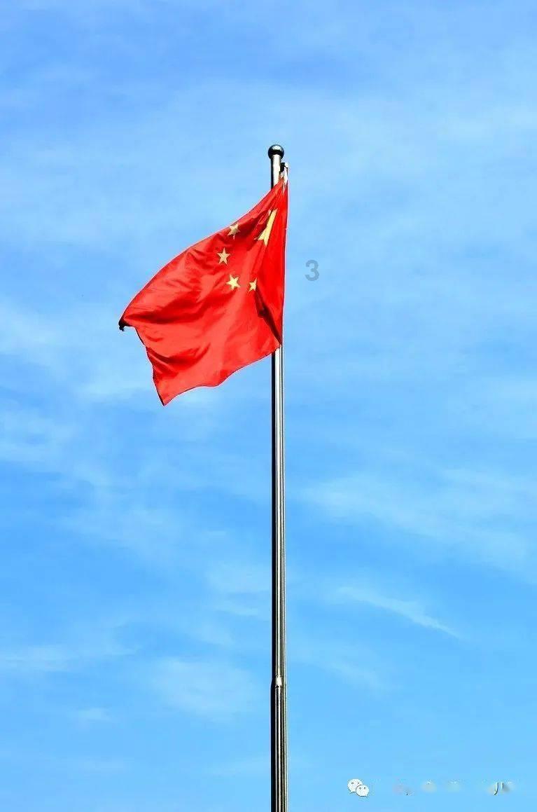 芭比的电影灵感