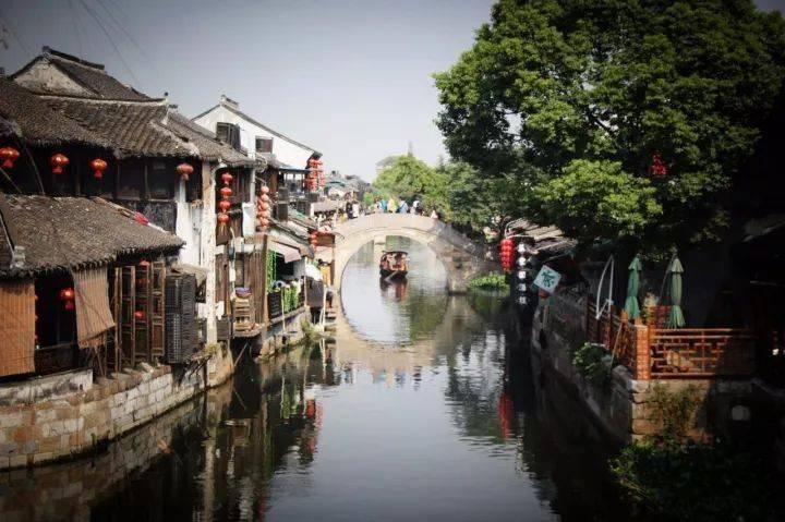 动物帮帮忙保卫家园